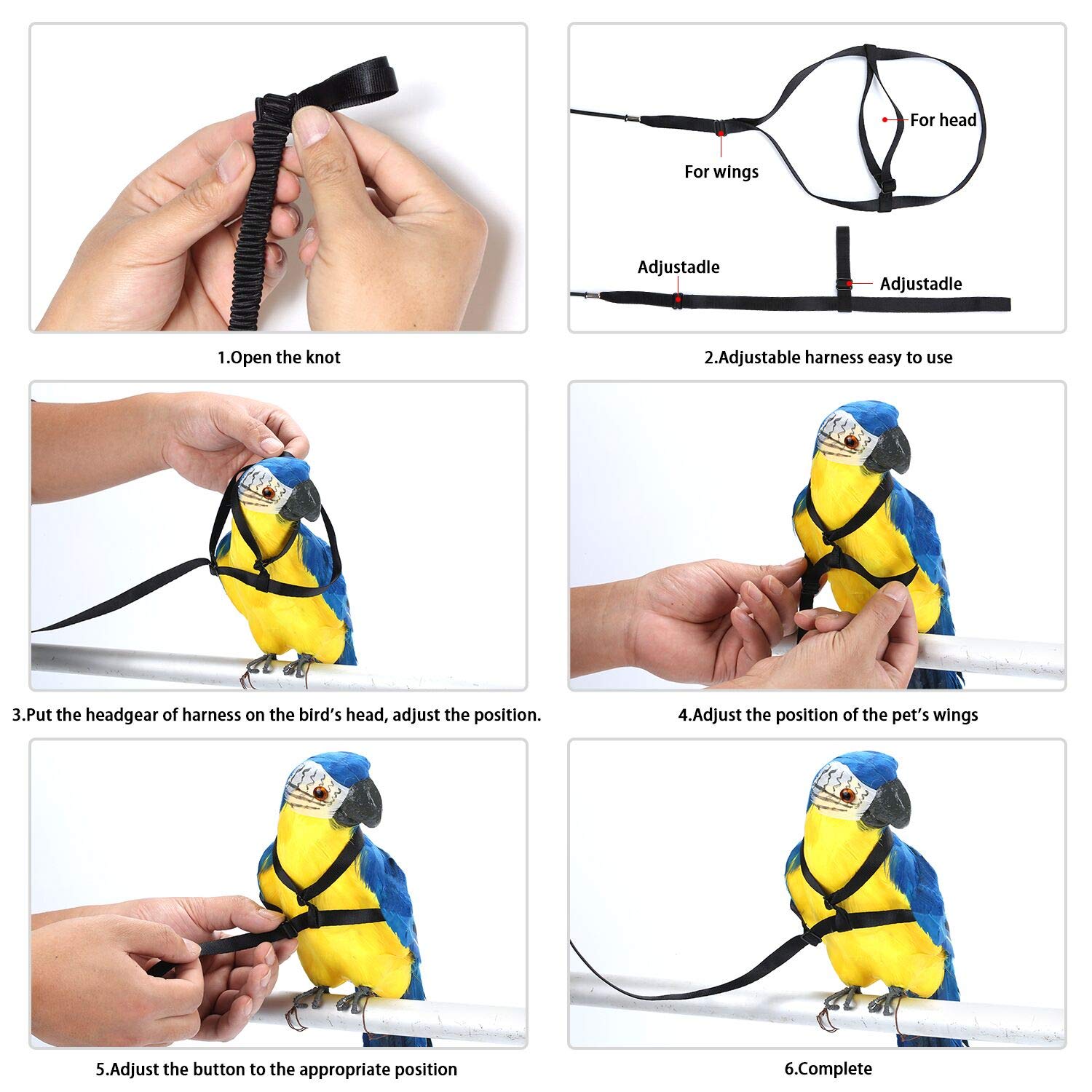 bird harnesses and leashes
