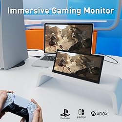 Maxfree Portable Monitor 12.3" DP/USB Type-C Plug