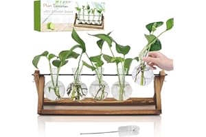 RENMXJ Plant Propagation Station, Gifts for Women, Home Office Garden Decor Planter(5 Bulb Vase)