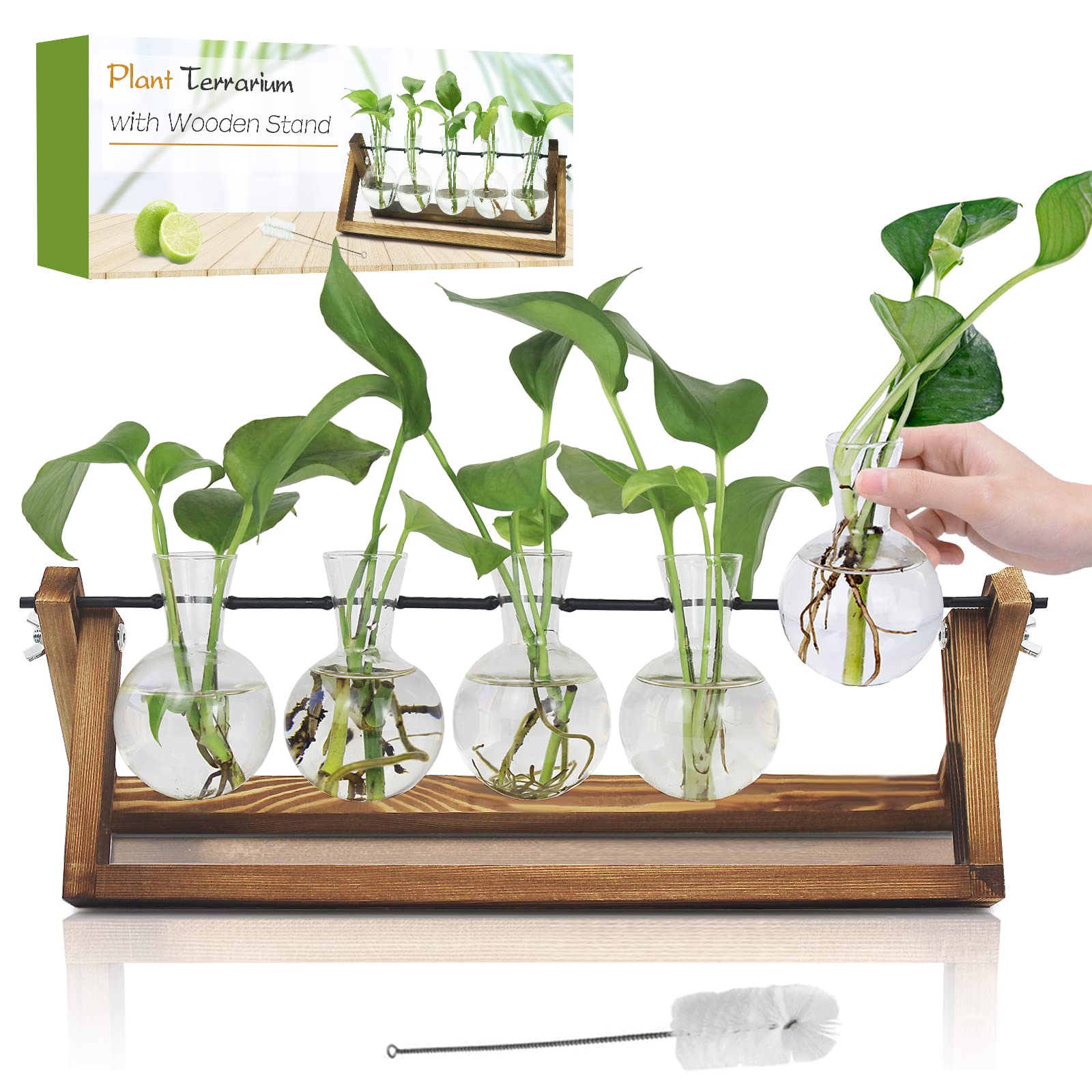 Photo 1 of Renmxj Plant Propagation Station, Propagation Vases for Plants, Unique Gardening Birthday Gifts for Women Plant Lovers Mom Best Friend - 5 Bulb Glass Vases
