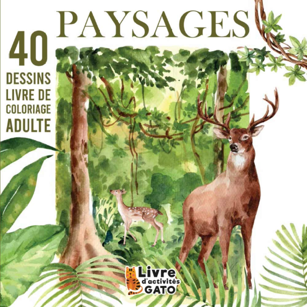 Amazon Fr Livre De Coloriage Adulte Paysage 40 Paysages A Colorier Coloriage Paysage Adulte Cahier De Coloriage Paysage Coloriage Nature Adulte Livre De Nature Adulte Coloriage Anti Stress Adultes Gato