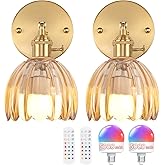 Shenmoyl Vintage Battery Operated Wall Sconce with Amber Tulip Glass Lampshade 5000 mAh Rechargeable Battery Powered Wall Lig