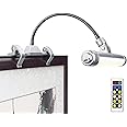 LUXSWAY Wireless Picture Frame Led Lighting,Rechargeable Art Display Lighting Clip on Pictures,Over Painting Lights,Artwork Lamp with Flexible Neck,28 LEDs 3 Lighting Modes 200 LM-Silver