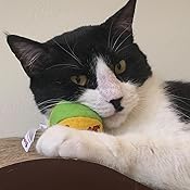 yeowww my cats balls