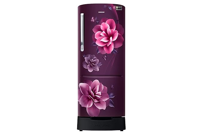 Samsung 215 L 4 Star Inverter Direct-Cool Double Door Refrigerator (RR22T383XCR/HL, Camellia Purple)