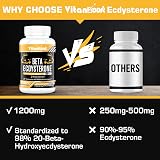 Vitanboost Beta Ecdysterone 1200mg 60 Count Lean Muscle Strength High Purity view 3