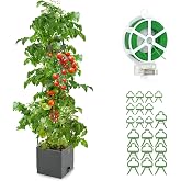Qaobo Raised Garden Bed, Planter Boxes with Trellis 58.3'' Tomato Planters for Climbing Vine Vegetables Flowers Plants Self Watering Tomatoes Cage for Outdoor Patio Greenhouse