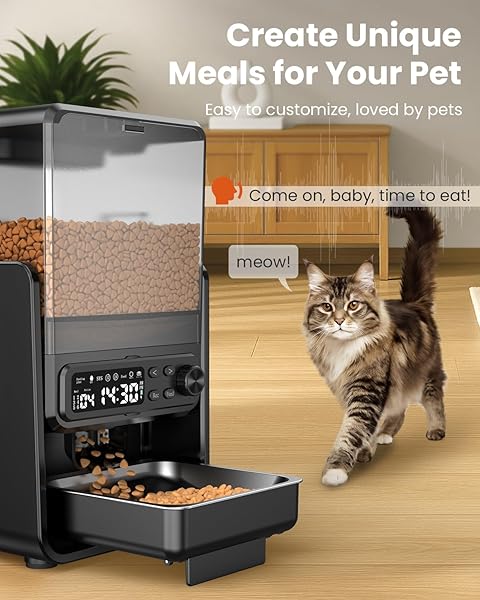 CITYFLEE AUTOMATIC CAT FEEDER FOR 2 CATS, 5L/20 CUPS FOOD DISPENSER WITH ADJUSTABLE RAISED DOUBLE BOWLS, DETACHABLE CONTROL PANEL, TIMED CAT AND DOGS FEEDER FOR DRY FOOD, DUAL POWER SUPPLY