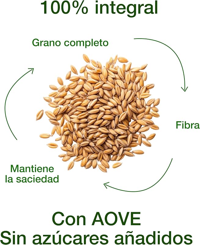- Dextrín – Tostadas de Pan 100% Integral, Alto en Fibra, Sin Azúcares Añadidos, Vegano – 300 g (Lino)