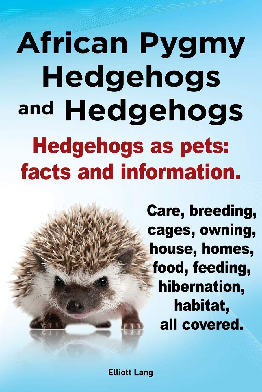 pygmy hedgehog care