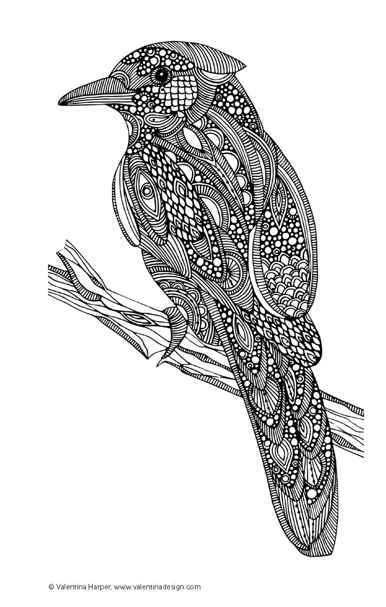 Pin By Jul Rome On Raskraski Book Design Coloring Books Colour Images Pin By Jul Rome On Raskraski Book Design Coloring Books Colour Images