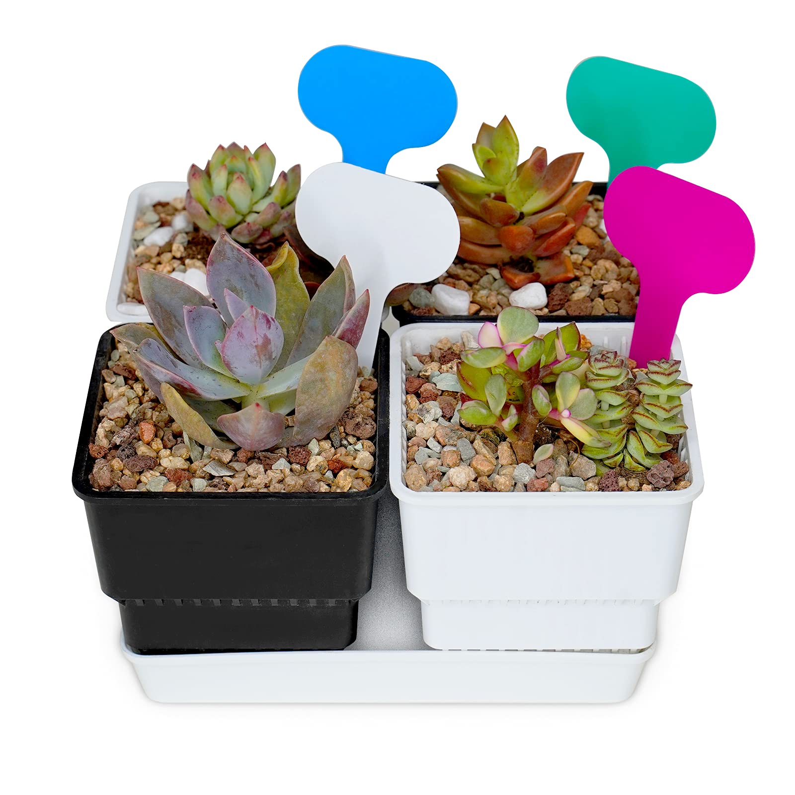 4PCS Root Control Succulent Plant Pot with Tray , 7CM Cacti Flower Pot, Drainage Ventilation Design Plant Container, Perfect for Home, Garden, Office, Indoor Outdoor Use (Plants not include)