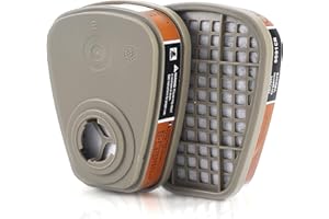 PANBEAR 6001 Filter Cartridges for Respirator - Gas Organic Vapor Chemical Cartridge Filter Compatible with 6200,6800,7502,Respirator (6001 Filter Cartridges)