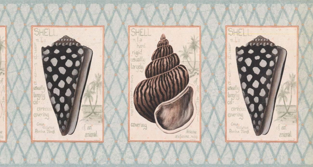 Amazon Com 10 1 4 In X 15 Ft Prepasted Wallpaper Borders Conch Shell Wall Paper Border Rg3926b Kitchen Dining Amazon Com 10 1 4 In X 15 Ft Prepasted Wallpaper Borders Conch Shell Wall Paper Border Rg3926b Kitchen Dining