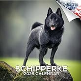Schipperke Calendar 2026 by MegaCalendars – Monthly Dog Breed Wall Calendar, Made in USA