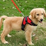 FUNKEEN PET HOUSE No-Pull Padded Adjustable Puppy Harness Vest M Red view 7