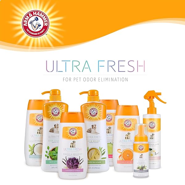 ARM & HAMMER ULTRA FRESH OATMEAL DOG SHAMPOO WITH ALOE FOR ITCH RELIEF AND ODOR CONTROL, BAKING SODA DEODORIZING PET SHAMPOO FOR DRY ITCHY SKIN, PUMP BOTTLE DOG WASH, WHITE TEA & SAGE SCENT, 24 FL OZ