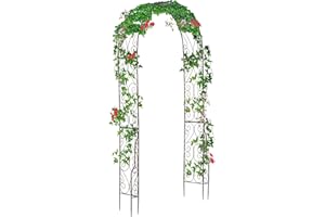 Outsunny 7.5ft Garden Metal Arch Outdoor Walkway Arbor for Decorative Climbing Vine Plants Patio Lawn Courtyard Party Ceremon