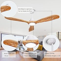 Ceiling Fans with Lights and Remote,60 Inch Unique