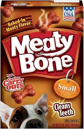 cat stop eating wet food