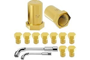 CSZKJXPA Range LP Conversion kit for Frigi-daire LP Conversion Kit, For Frigi-daire Series Natural Gas To Propane LPG Conversion Kit, Replaces 4980407 AP7213138 A22390101 316243720 316243721 316243723.