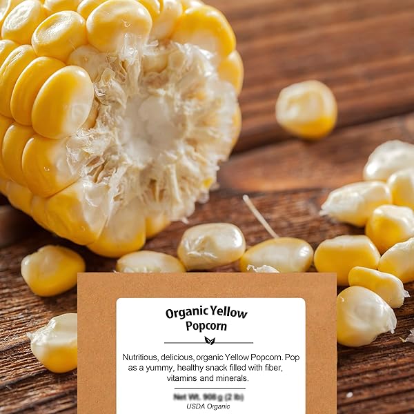 YELLOW ORGANIC POPCORN KERNELS (4.8LB) – UNCOOKED CORN BULK GREAT FOR MOVIE NIGHT – HEALTHY MICROWAVE SNACKS IDEAL FOR POPPING – USA GROWN | USDA CERTIFIED | VEGAN | NON-GMO