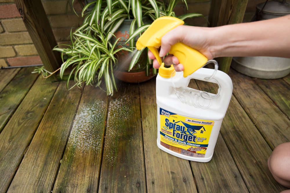 Spray & SFHDSPRY, 32 oz Bottle, 1 Count, Outdoor Cleaner, Mold