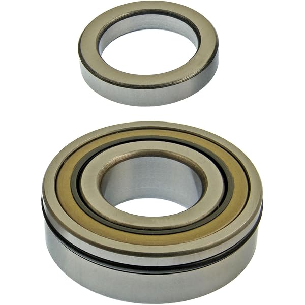Amazon.com: Crown Automotive 4338891 Input Shaft Bearing : Automotive