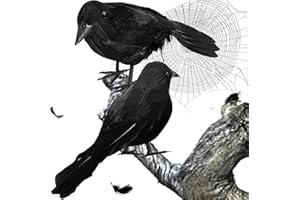 WILD TRIBE 2pcs Black Crow Realistic Feathered Birds Halloween Party Decorations Prop 6.3"