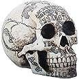 SUMMIT COLLECTION Paranormal Skull Head with Ouija Symbols Collectible Figurine