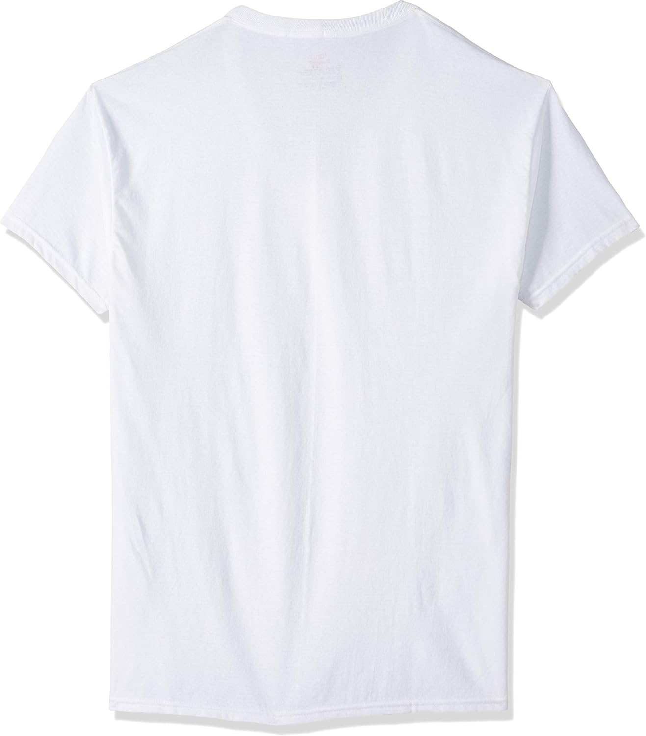 Hanes Men's 3-Pack V-Neck T-Shirt: Clothing