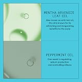 Nioxin System 3 Scalp + Hair Conditioner 1L for Dry Coloured Hair Thickening view 6