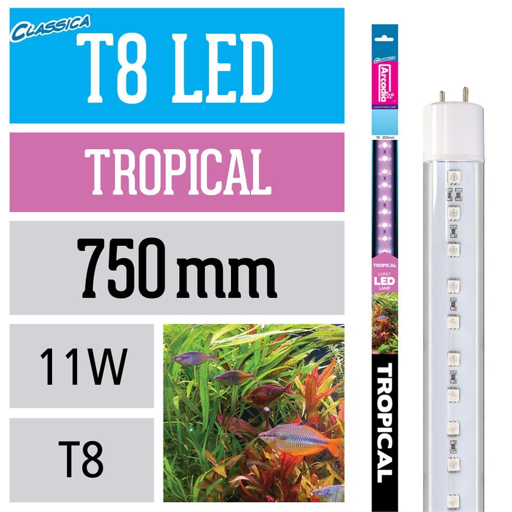 Arcadia Marine White T8 LED Lamp - 750mm - 24w