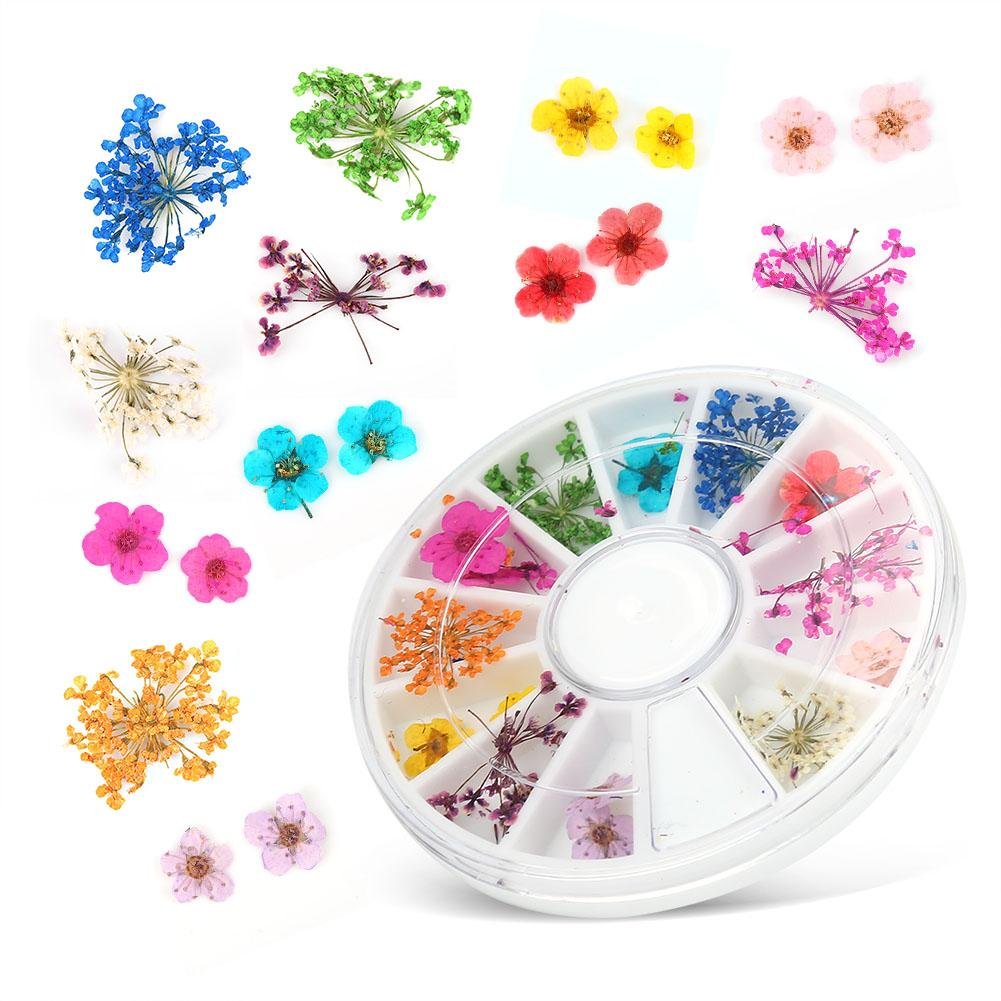 Dried Flowers, 12 Types Real Dry Flowers Nail Decoration Manicure Arts Colorful Natural Dried Flowers Set for Nail Art