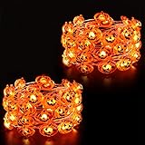 Halloween Pumpkin Lights, 2 Packs 13.5ft 40 LED Battery Operated Led Pumpkin String Lights, Waterproof Orange String Lights f