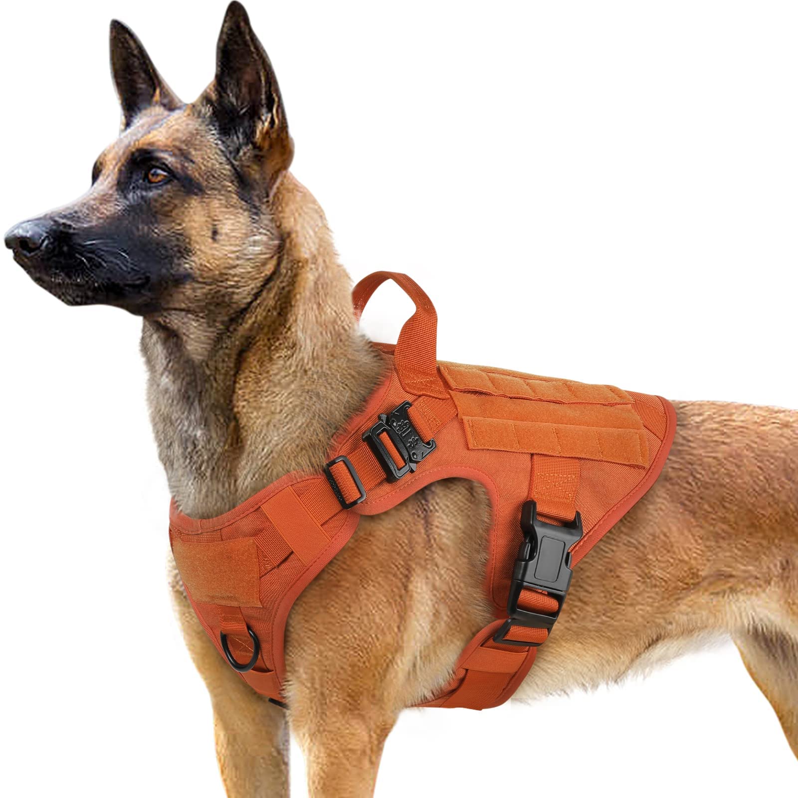 Photo 1 of rabbitgoo Tactical Dog Harness for Large, Heavy Duty Pet Harness with Handle, No-Pull Service Vest Large Breed, Adjustable Military Dog Vest for Training Hunting Walking, Orange, L