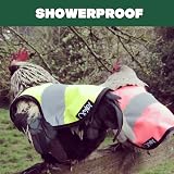 Omlet High-Vis Chicken Jacket Pink Warm Winter Hen Saddle Cold Weather view 7