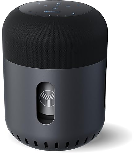 Amazon.com: Bang & Olufsen Beoplay P2 Portable Bluetooth Speaker