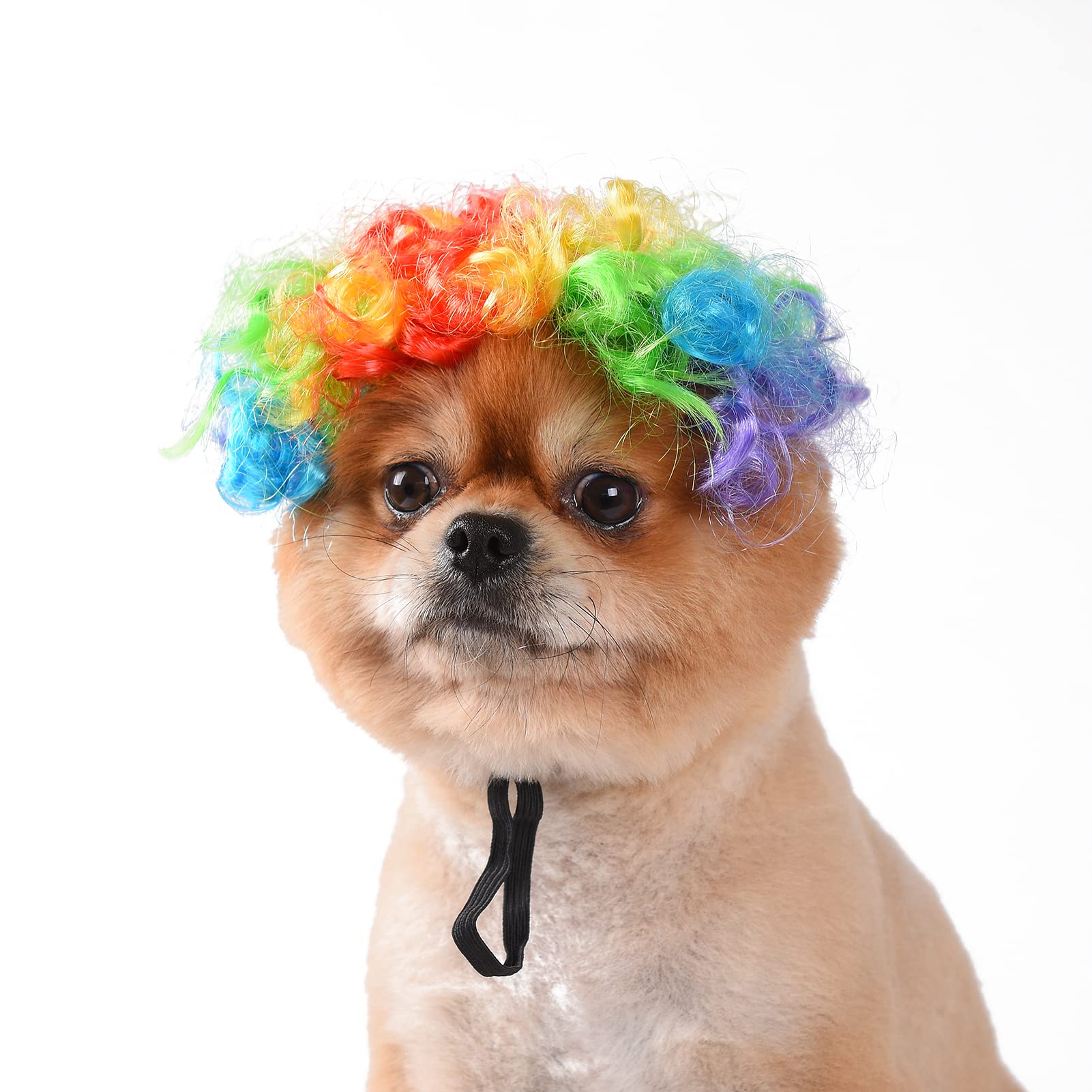 Funny Dog and Cat Role Play Wig for Halloween, Christmas, Parties, Festivals - Small, Medium and Large Pets (Coloured Clowns)