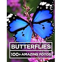 Amazon.com: One Hundred Butterflies: 9780316033633: Feinstein