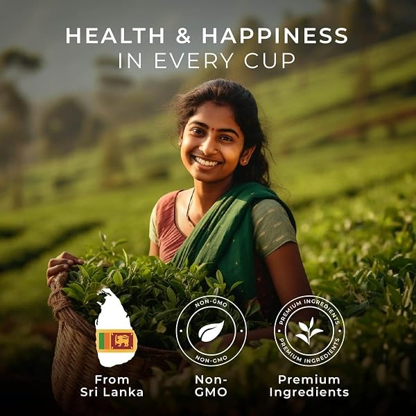 GYA TEA CO ENGLISH BREAKFAST TEA GIFT SET (16 CT) – HIGH CAFFEINE WELLNESS TEA POD RICH IN VITAMIN D, D3 FOR REFRESH & ENERGY
