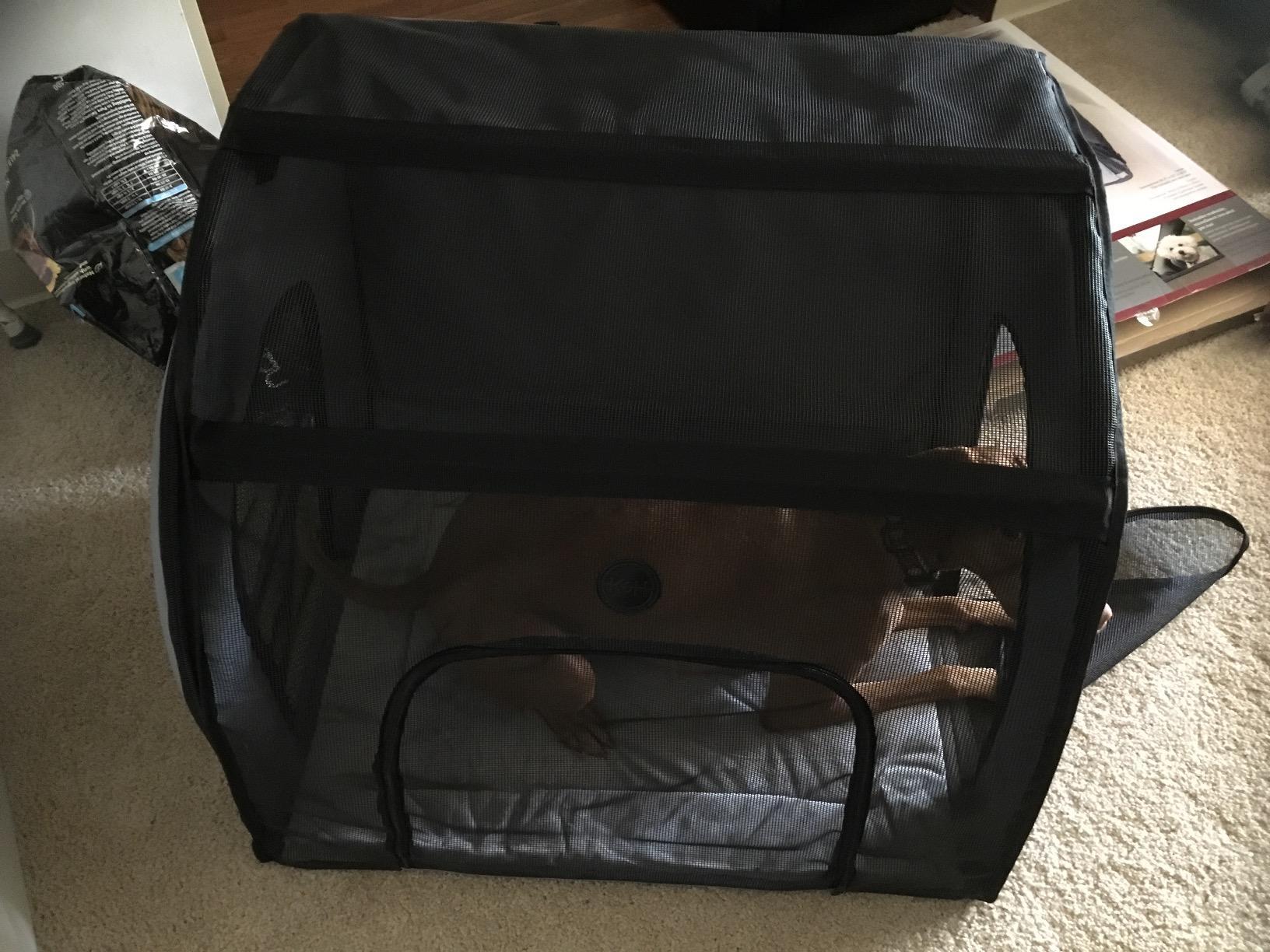 K&H Pet Products Travel Safety Pet Carrier Medium Gray 24" x 19" x 17