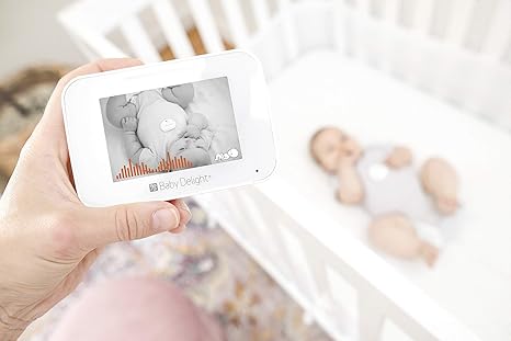 baby delight video monitor