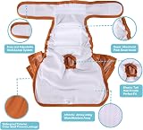 Avont 3 Pack Washable Female Dog Diapers Reusable for Heat Incontinence view 5