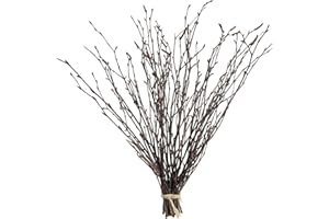 WCAHNKQ 17 Inch Natural Birch Branches Dried Birch Twigs Wreath Making Supplies Dried Plants for Rustic Home Decor Easter Stems Vase Filler DIY Crafts Vases Tall Wreath Christmas Decoration Wedding (30Pcs)