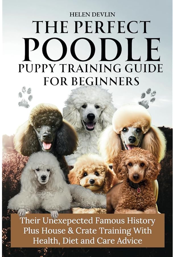 POODLE VARIETY  6冊セット 717BDlqbcyL._AC_UF350,