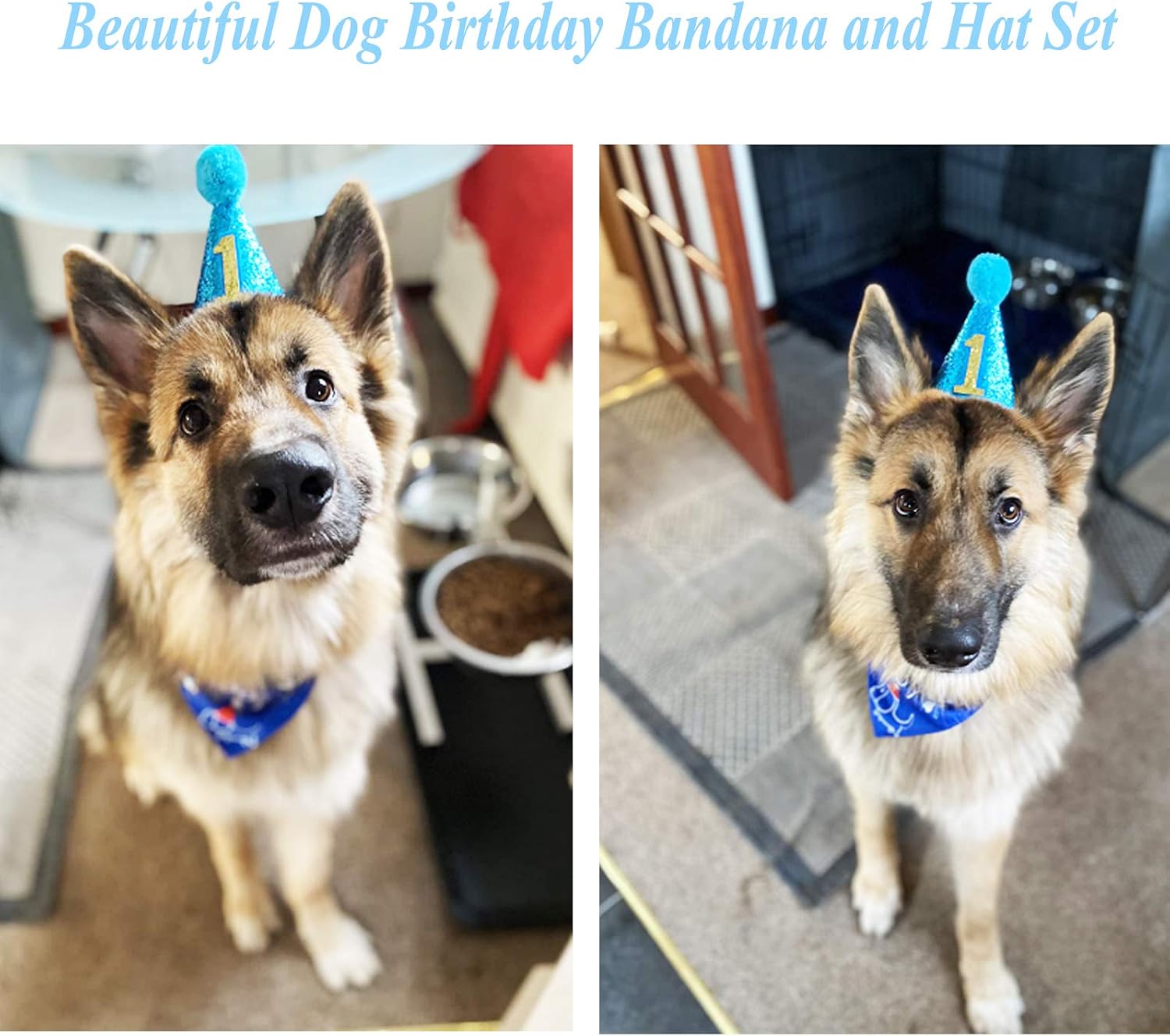 BIPY Dog 1st Birthday Hat Bandana Banner Set for Boys Small Medium Pets Blue Headdress Costumes Grooming Supplies for Party Celebration Decoration - Image 5