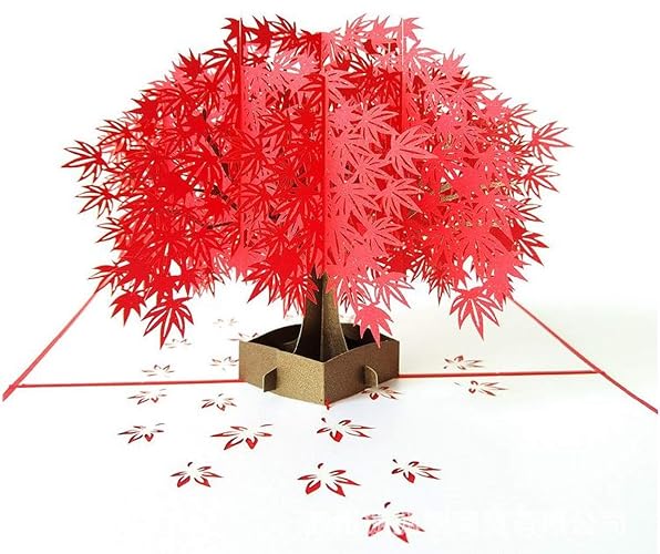 Bc Worldwide Ltd Handgemachte 3d Pop Up Karte Geburtstag