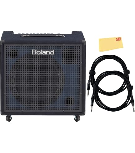 Amazon.com: Roland KC-200 4 Channel Mixing Keyboard Amplifier, 100