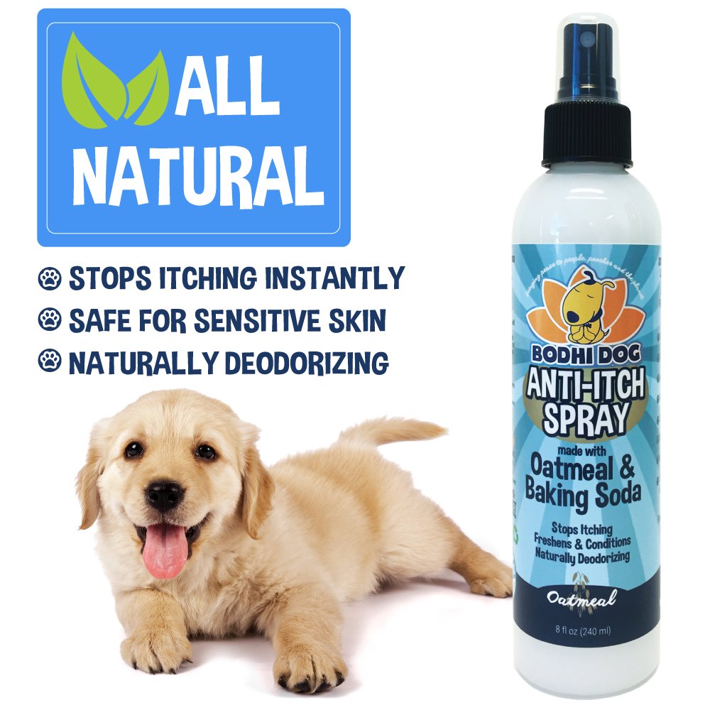NEW Anti Itch Oatmeal Spray for Dogs and Cats 100 All Natural Hypoallergenic 646437663816 eBay